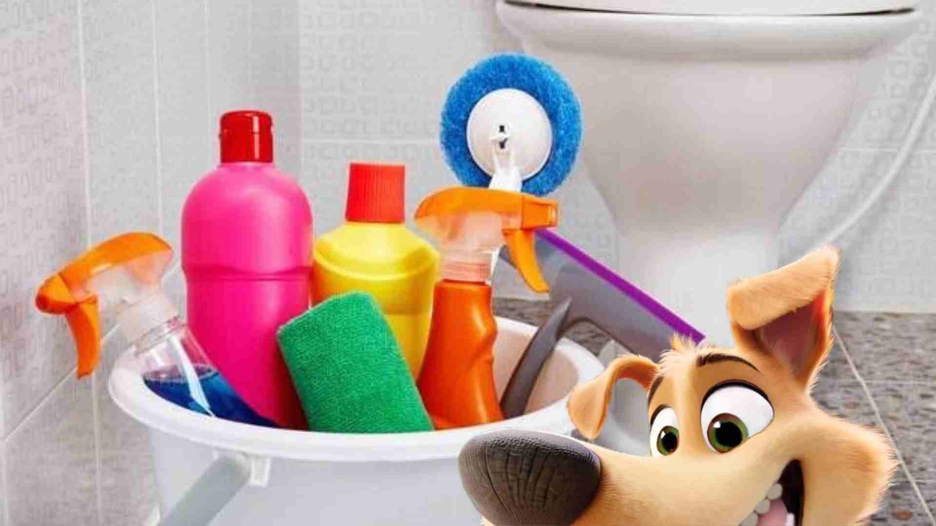 Teste um produto Grátis para Limpar o Banheiro