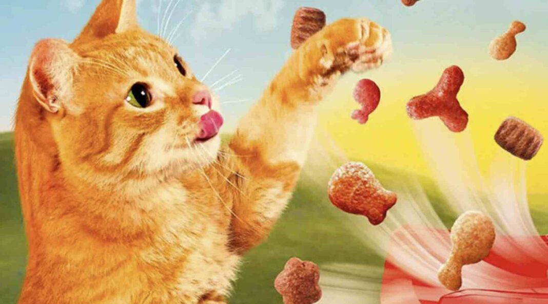 Solicite Amostras Grátis de Purina Friskies Party Mix