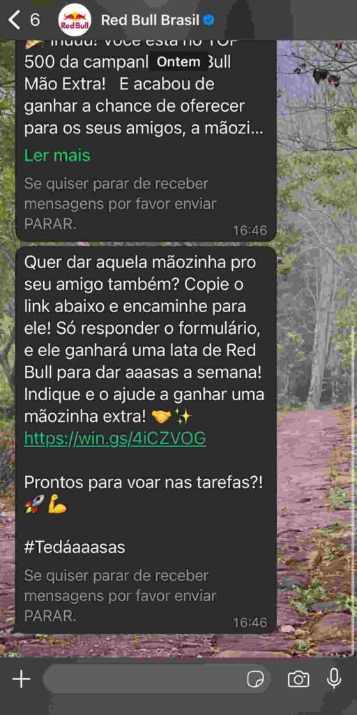 Conversa com o WhatsApp do Red Bull Brasil