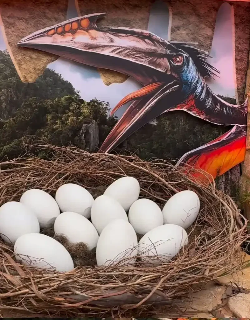 Ninho de dinossauro com ovos em um cenário temático de Jurassic World, ambientado em área infantil no Parque Villa-Lobos.